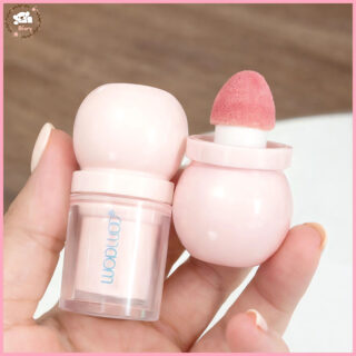 بلاشر فلافي